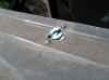 Engine cover latch